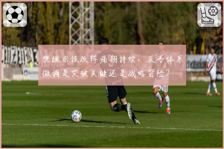 樊振东技改阵痛期持续，反手体系微调是突破关键还是战略冒险？