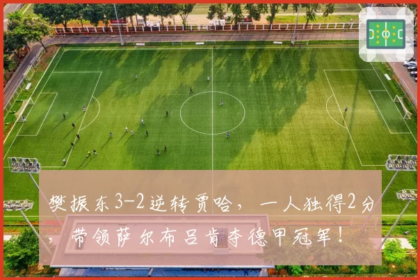 樊振东3-2逆转贾哈，一人独得2分，带领萨尔布吕肯夺德甲冠军！