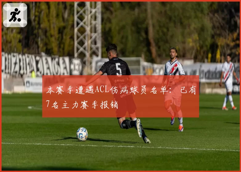 本赛季遭遇ACL伤病球员名单：已有7名主力赛季报销