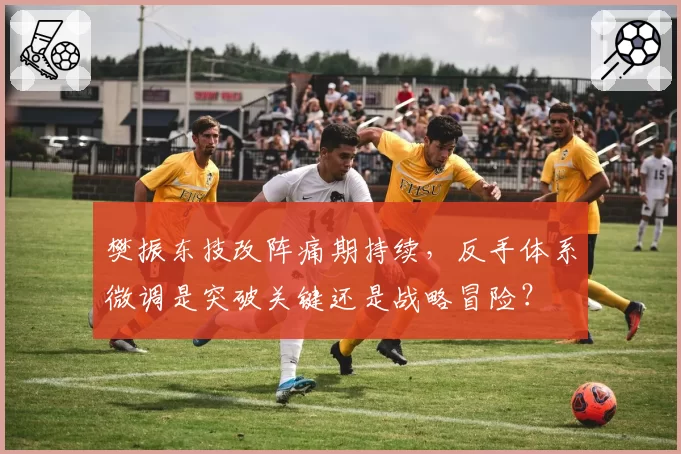 樊振东技改阵痛期持续，反手体系微调是突破关键还是战略冒险？