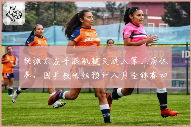 樊振东左手腕肌腱炎进入第三周休养，国乒教练组预计八月全锦赛回归