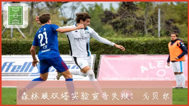 森林狼双塔实验宣告失败：戈贝尔交易是否成为史上最烂操作？