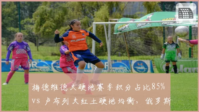 梅德维德夫硬地赛季积分占比85% vs 卢布列夫红土硬地均衡，俄罗斯双雄战术风格迥异