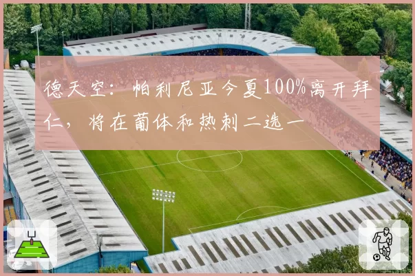 德天空：帕利尼亚今夏100%离开拜仁，将在葡体和热刺二选一